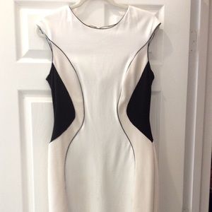 Shapely Dress by Ann Taylor